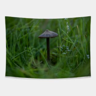 Mushroom surrounded by green Tapestry