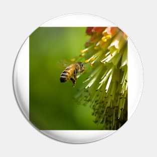 Bee in Flight Pin