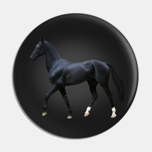 Black Akhal-Teke (Slate) Pin