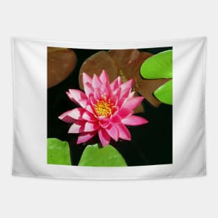 Fuchsia Pink Water Lilly Flower floating in Pond Tapestry