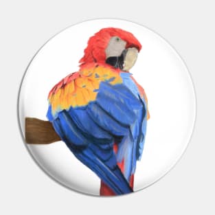 Scarlet Macaw Art Painting Pin