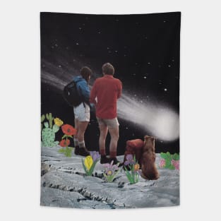 Comet Tapestry