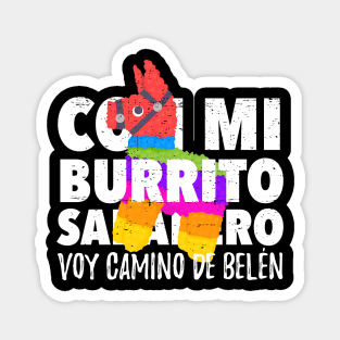 Con mi burrito sabanero voy camino de Belén Magnet