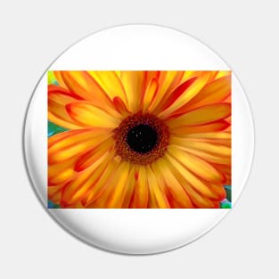 Crazy Daisy Pin