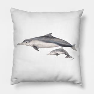 Australian humpback dolphin Pillow