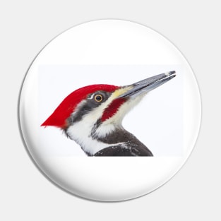 Pileated Woodpecker Pin