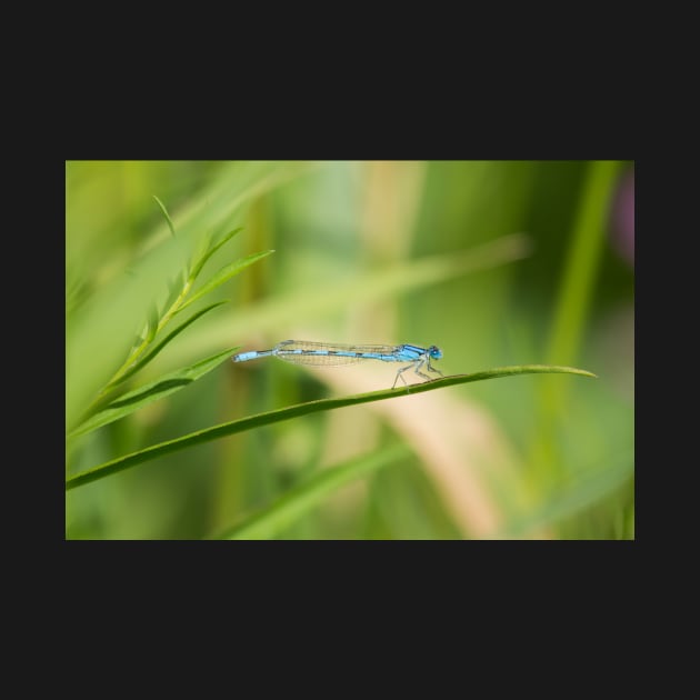 Damsel In Blue by EugeJ