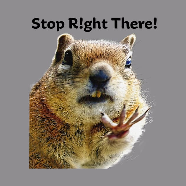 Stop Right There Chipmunk Body Language with Typography by OLena Art 