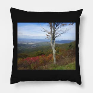 Fall in Shenandoah Pillow