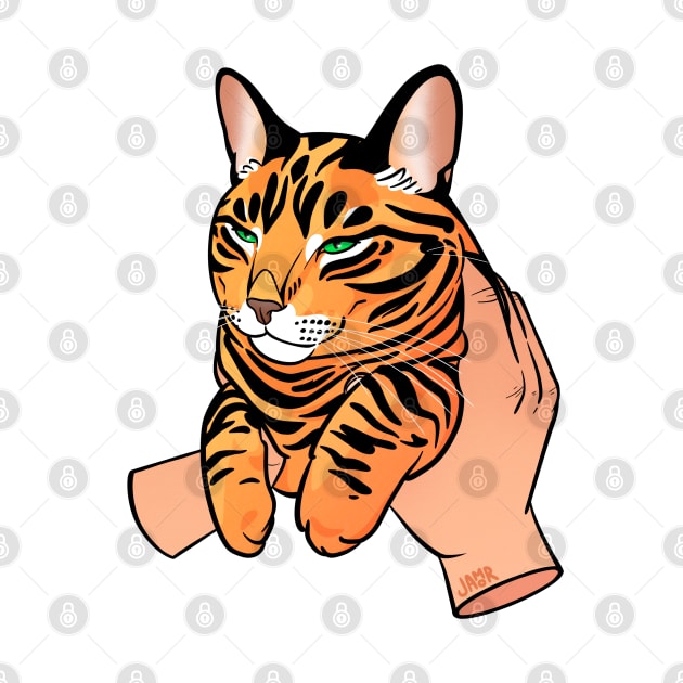 Tiger Tabby Held by jastinamor