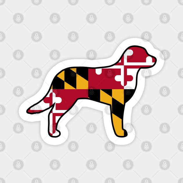 Chesapeake Bay Retriever Silhouette with Maryland Flag Magnet by Coffee Squirrel