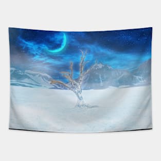 Desert Snow Tapestry