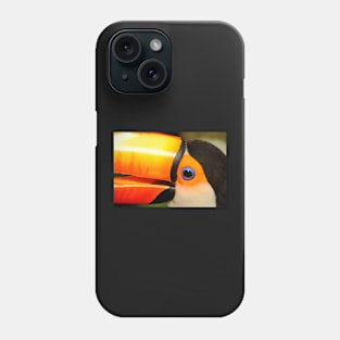 Quaint Bird: Portrait of a Toco Toucan at Iguassu, Brazil. Phone Case