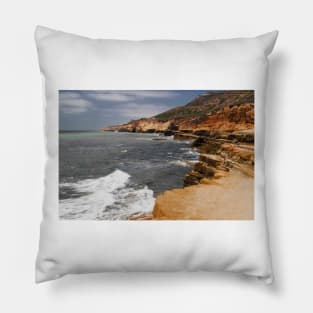 The Beaches And Tidepools Of Cabrillo - 6 © Pillow