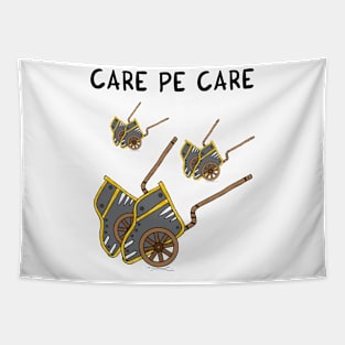 Care pe care Tapestry