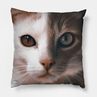 Cat Brothers Pillow