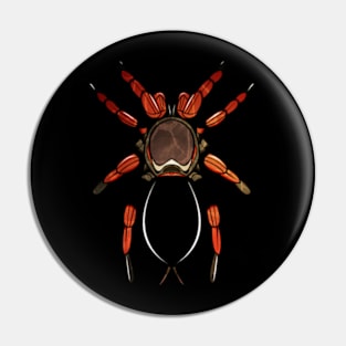 TARANTULA TATTOONIMAL Pin