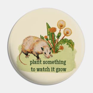 plant something to watch something grow Pin