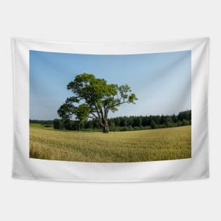 The lonely old tree in the field Tapestry