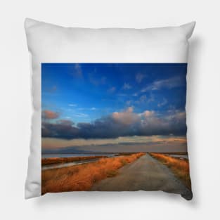 On the road again Pillow