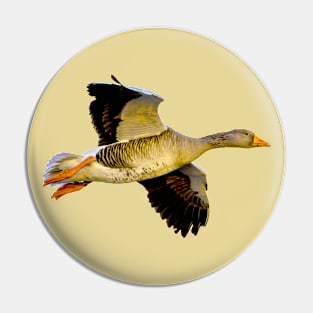 Greylag goose Pin