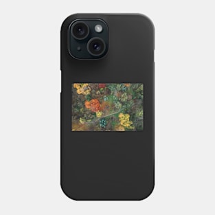 Fall colours from above 3 Phone Case