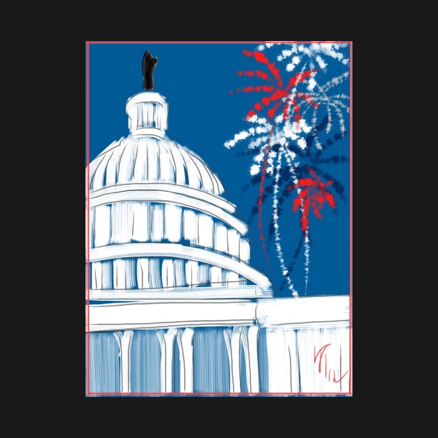 A Capitol Fourth Fireworks by LITDigitalArt