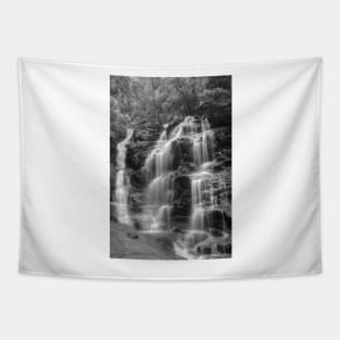 Sylvia Falls in Monochrome Tapestry