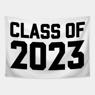 Class Of 2023 Tapestry