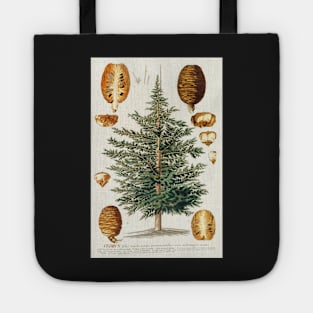 Cedar tree and cone dissectation - Cedrus - botanical illustration Tote