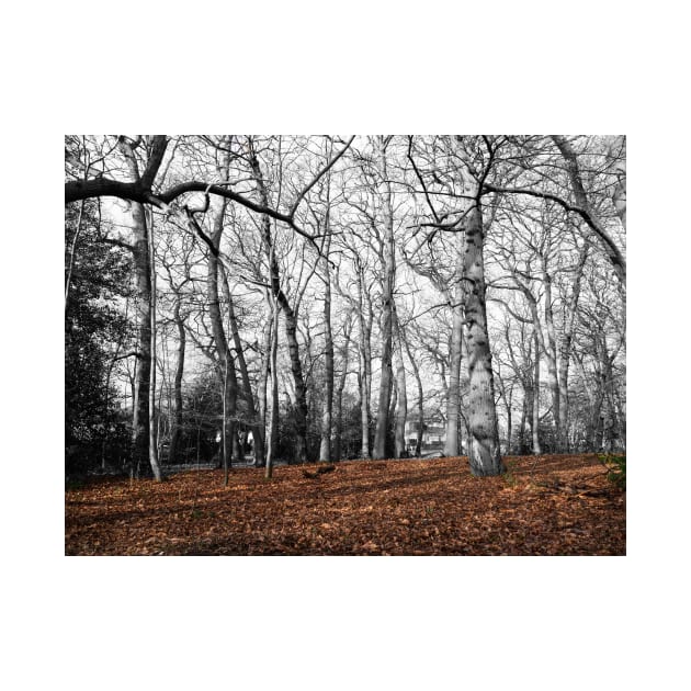 Forest - Dried leaves in brown and branches in shades gray by fantastic-designs