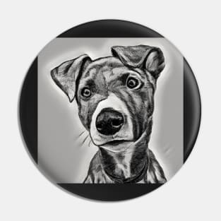 Lurcher puppy, black and white drawing Pin