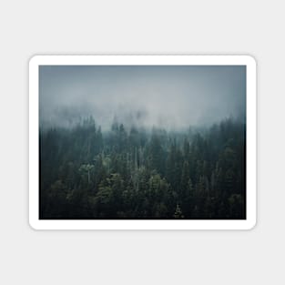 Misty fir forest Magnet