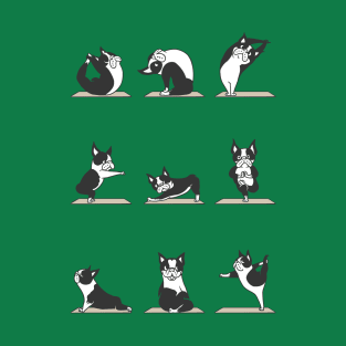 Boston Terriers Yoga T-Shirt