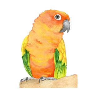 sun parakeet watercolor bird portrait painting T-Shirt