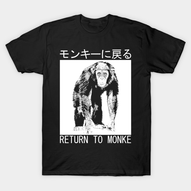 Return to Monke