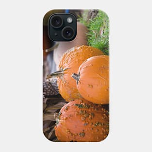 Bumpy pumpkin landscape in fall Phone Case