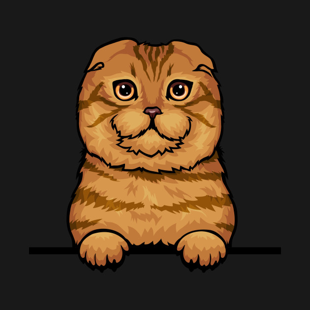 Scottish Fold Cat by mankjchi