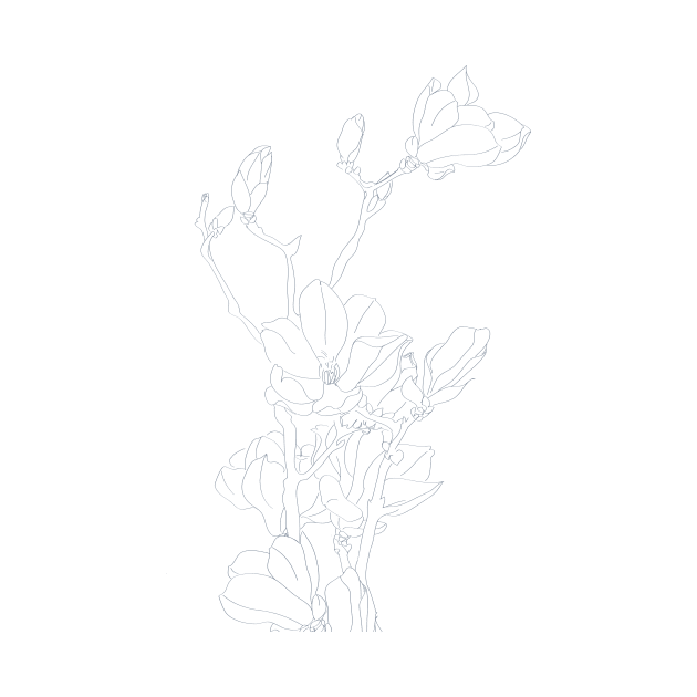 magnolia  flowers line drawing by colorandcolor