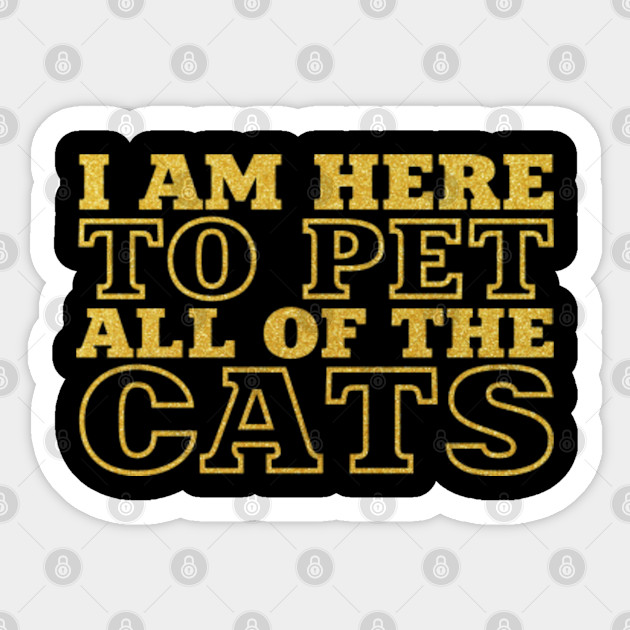 I Am Here To Pet All Of The Cats Triblend Ladies V Neck T Shirt