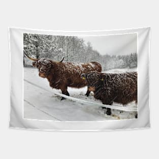 Scottish Highland Cattle Cow and Calf 1599 Tapestry