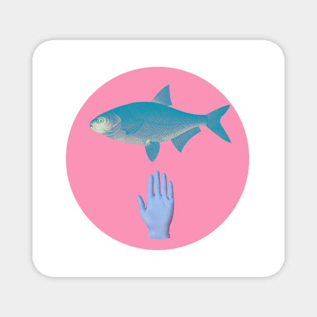 Fish and A Hand Magnet by kubrick215