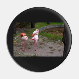 Pink and red flamingo Pin