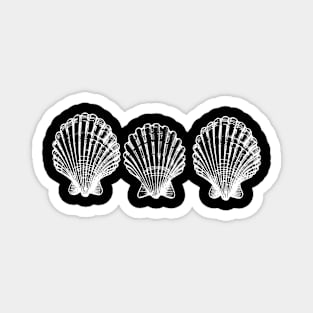 The Three Seashells Magnet