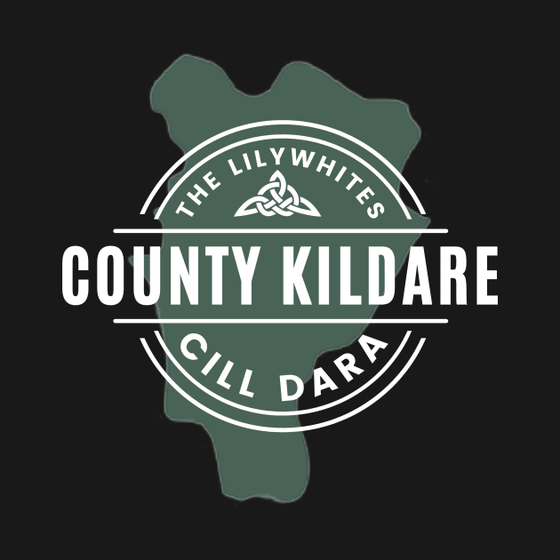 County Kildare Map by TrueCelt