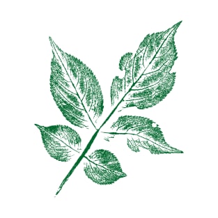 Elder Leaf (Sambucus) - BOTANICAL T-Shirt