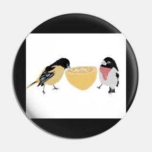 Two Birds Eating an Orange Pin