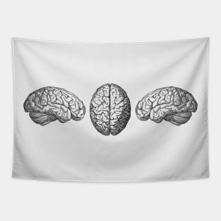 Human Brain - Triple View - Vintage Anatomy Tapestry