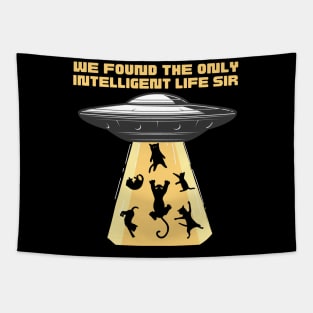 We found the only intelligent life. UFO beaming up cats, for cat lovers Tapestry