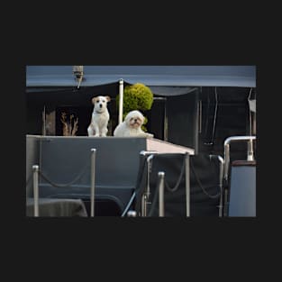 Dogs lie on the deck of a yacht T-Shirt